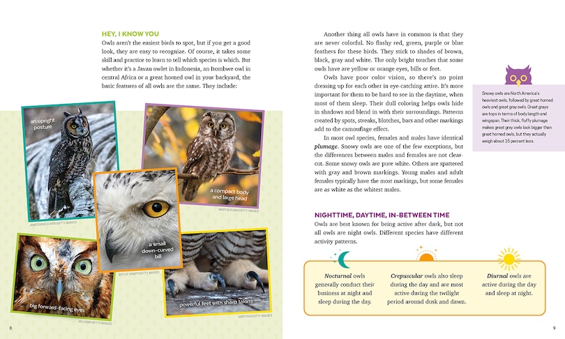 Aperçu du contenu 2_Owls
