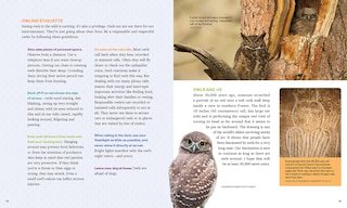 Aperçu du contenu 5_Owls