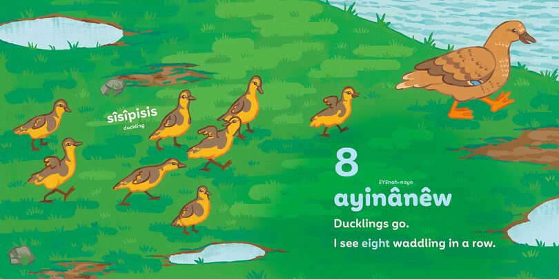 Aper&ccedil;u du contenu 5_P&ecirc;yak Little Duck