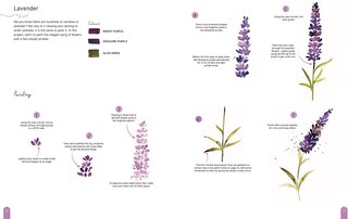 Sample content 4_Paint 50: Watercolour Nature