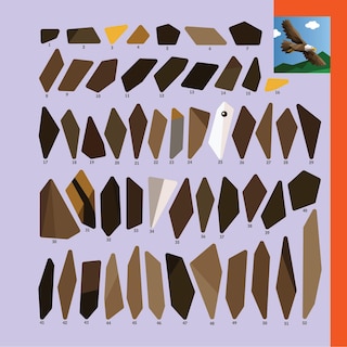 Aperçu du contenu 4_Paint by Sticker Kids: America