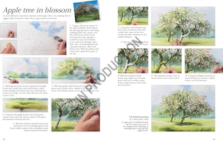 Sample content 5_Painting Watercolour Trees the Easy Way