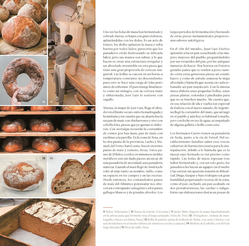 Sample content 2_Pan de pueblo: Un viaje por los panes y panaderías de España (Edición premium) / Town Bread (Premium Edition)