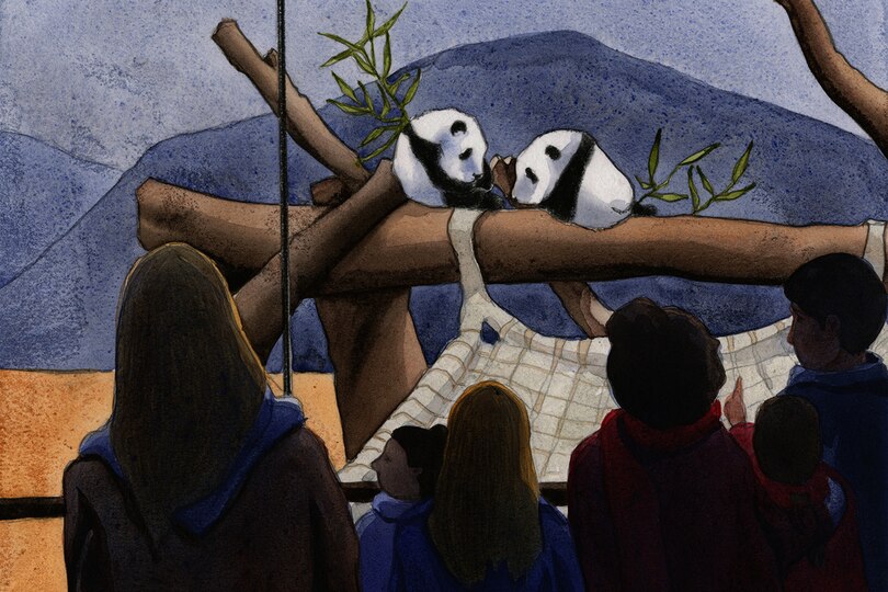 Sample content 3_Panda Cub Swap