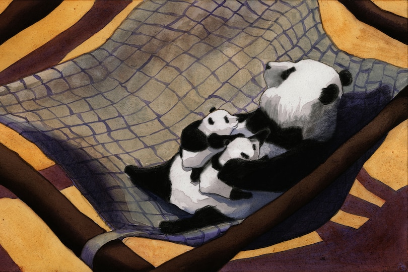 Sample content 4_Panda Cub Swap