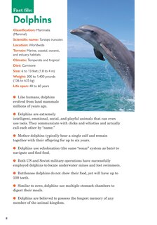 Sample content 2_Paperfold Sea Creatures