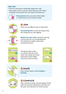 Sample content 5_Paperfold Sea Creatures