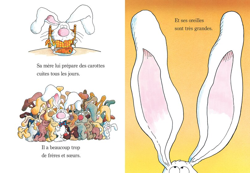 Aper&ccedil;u du contenu_Pas facile d&rsquo;&ecirc;tre un lapin!