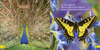 Sample content 3_Patrones (Las matem&aacute;ticas cuentan)