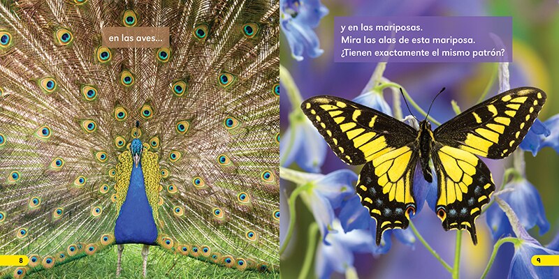 Sample content 3_Patrones (Las matem&aacute;ticas cuentan)