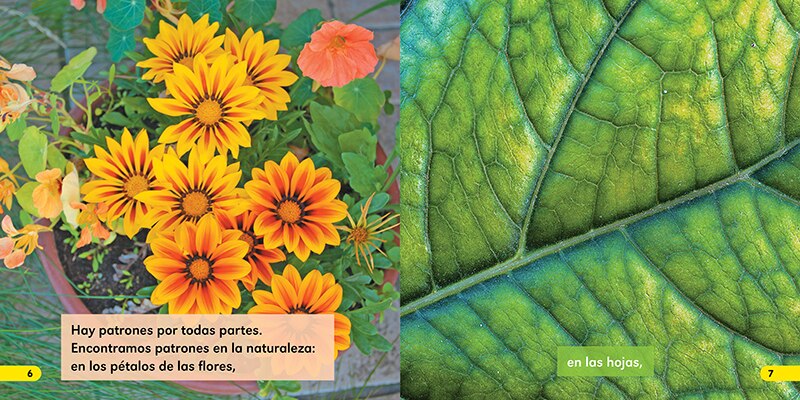 Sample content 2_Patrones (Las matemáticas cuentan)