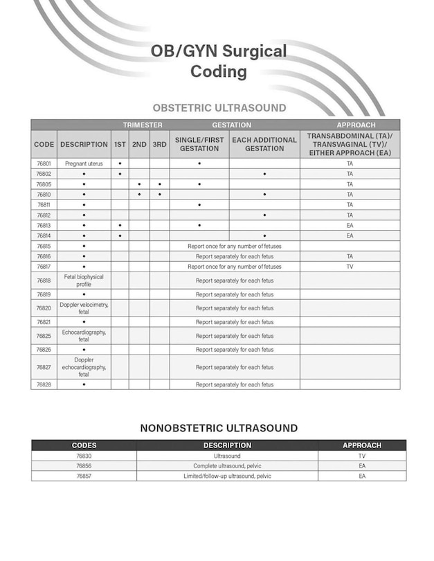 Sample content 5_Payment in Practice: 2025 OB/GYN Coding Manual
