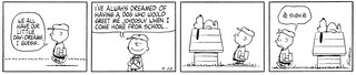 Sample content 4_Peanuts: Charlie Brown and Snoopy