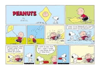 Aperçu du contenu_Peanuts: Happiness Is a Postcard