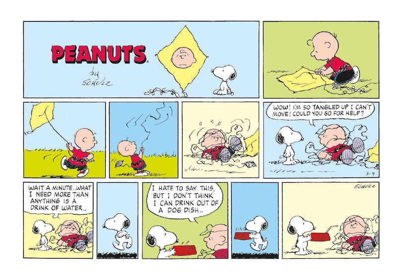 Aperçu du contenu_Peanuts: Happiness Is a Postcard