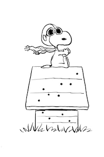 Sample content 2_Peanuts: Snoopy and the Red Baron