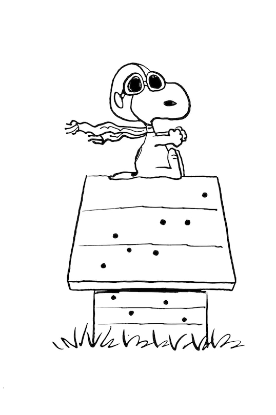Sample content 2_Peanuts: Snoopy and the Red Baron