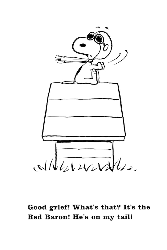 Sample content 4_Peanuts: Snoopy and the Red Baron