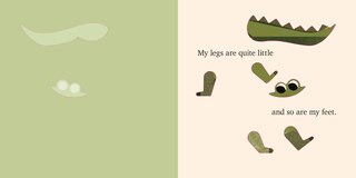 Sample content 4_Peek-a-Clue: Safari Animals