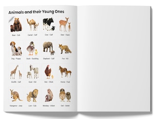Aper&ccedil;u du contenu_Peel & Paste - Pictorial Sticker Book For School Projects - Book 1