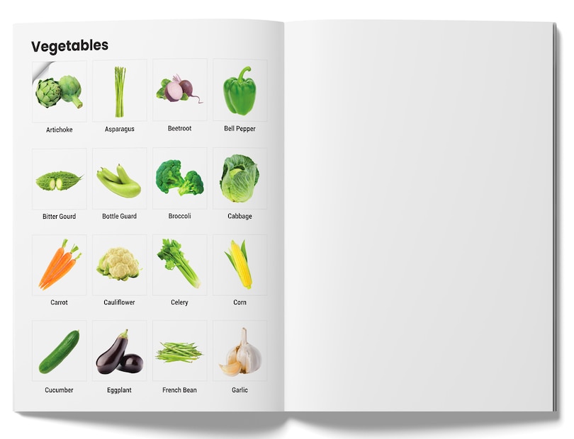Aper&ccedil;u du contenu_Peel & Paste - Pictorial Sticker Book For School Projects - Book 2