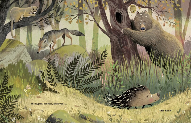 Aper&ccedil;u du contenu 4_Penny Lu Porcupine