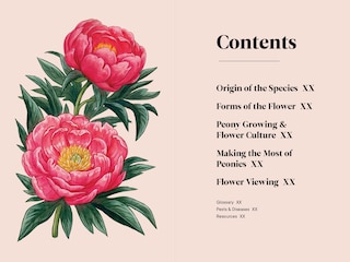 Sample content_Peonies