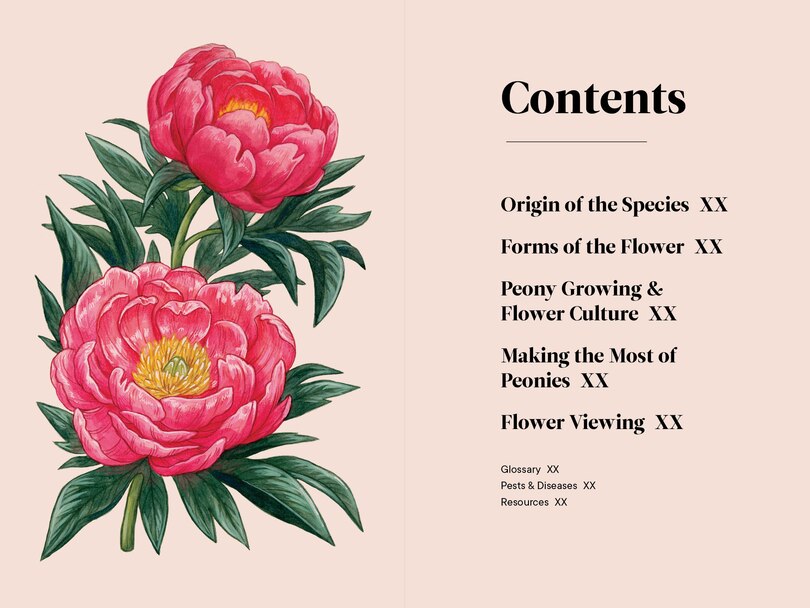 Sample content_Peonies