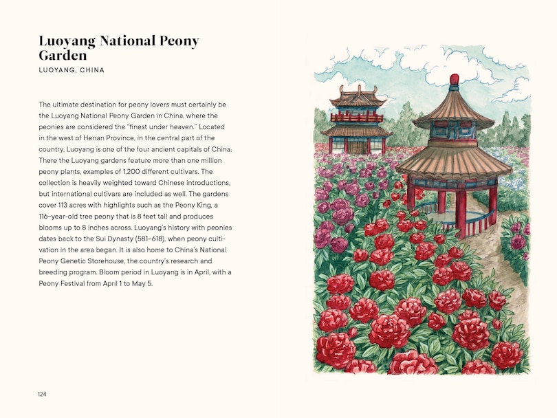 Sample content 2_Peonies