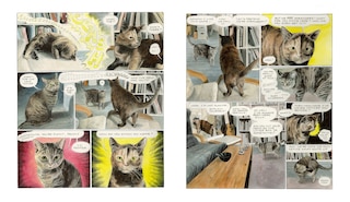 Sample content 4_Pepper