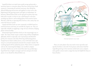 Sample content 4_Perfect Pots