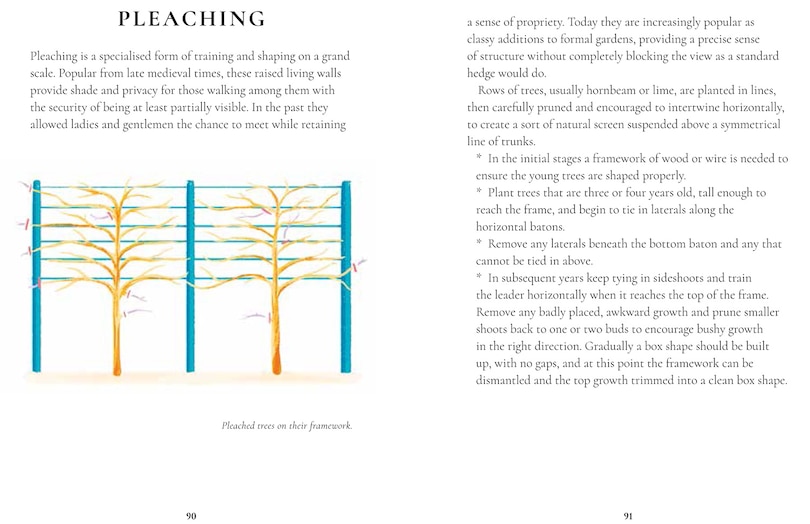 Sample content_Perfect Pruning