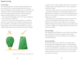 Sample content 2_Perfect Pruning