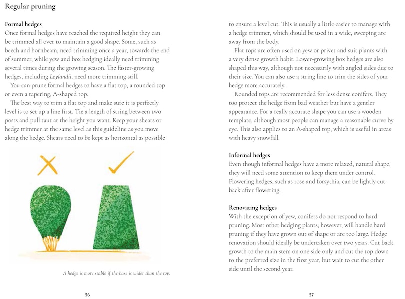 Sample content 2_Perfect Pruning