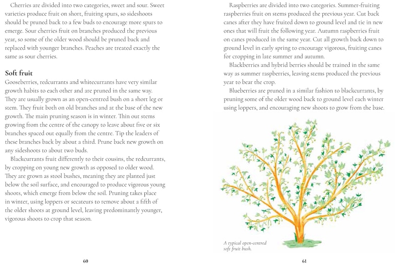 Sample content 3_Perfect Pruning