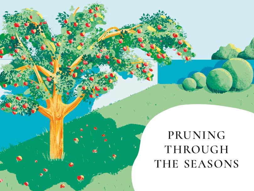 Sample content 4_Perfect Pruning