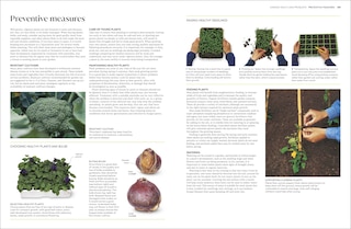 Aperçu du contenu 3_Pests and Diseases