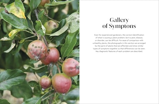 Aperçu du contenu 5_Pests and Diseases