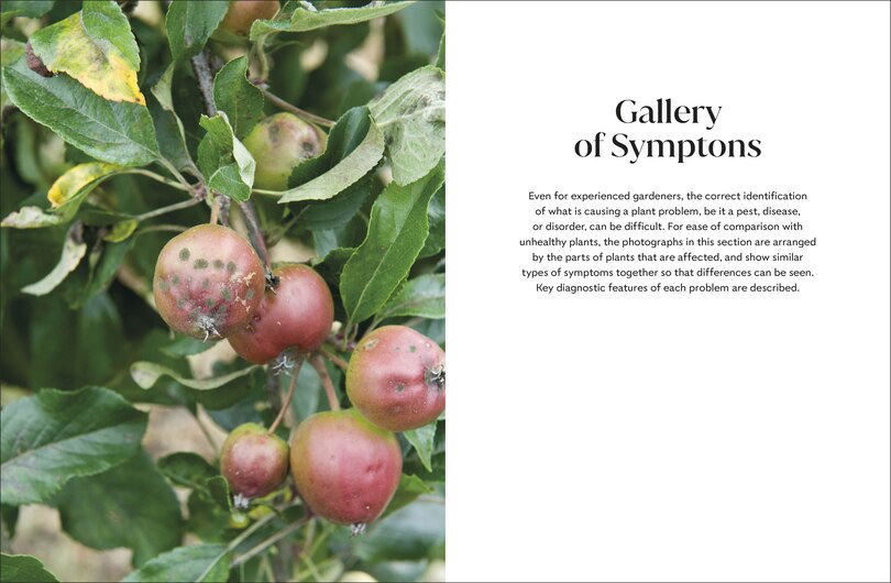 Aperçu du contenu 5_Pests and Diseases