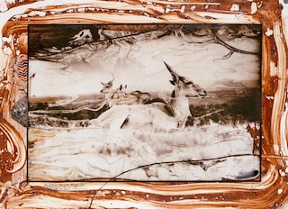 Sample content 2_Peter Beard