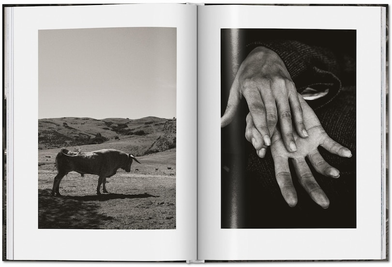 Aper&ccedil;u du contenu 2_Peter Lindbergh. Untold Stories