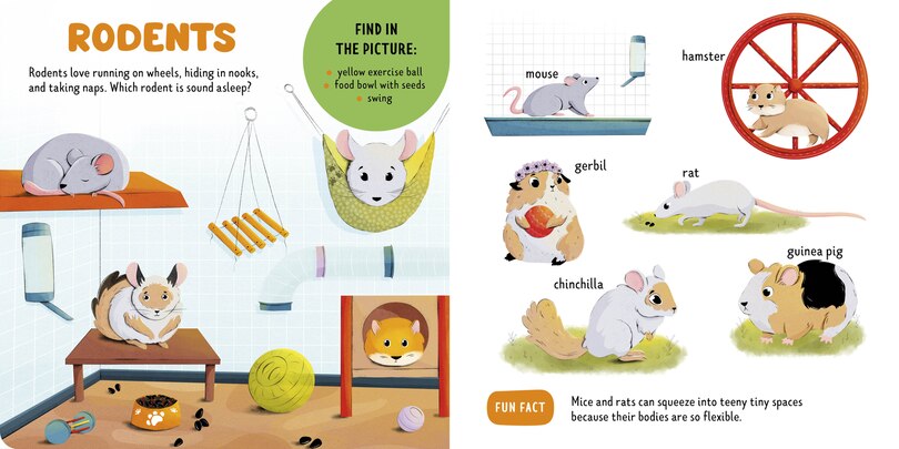 Sample content_Pets and Farm Animals