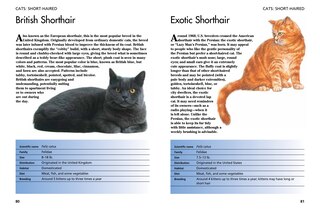 Aperçu du contenu_Pets