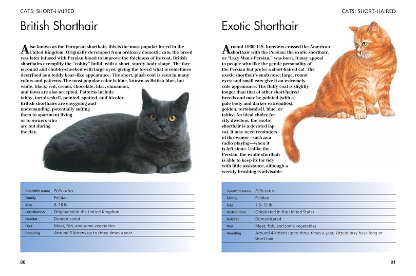 Aperçu du contenu_Pets