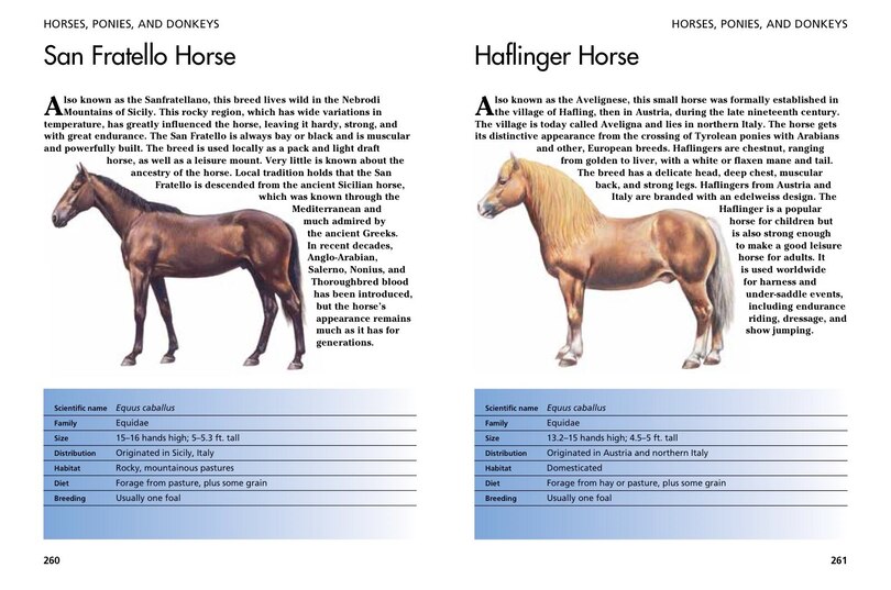 Aper&ccedil;u du contenu 5_Pets