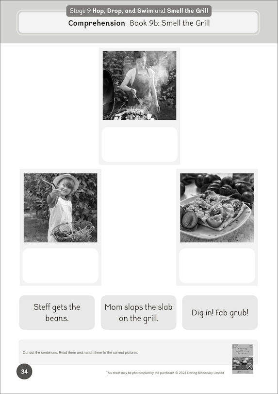 Aper&ccedil;u du contenu 4_Phonic Books Dandelion World Extras Stages 8-15 Activities