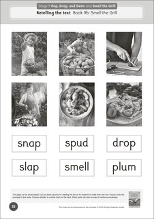 Aper&ccedil;u du contenu 5_Phonic Books Dandelion World Extras Stages 8-15 Activities