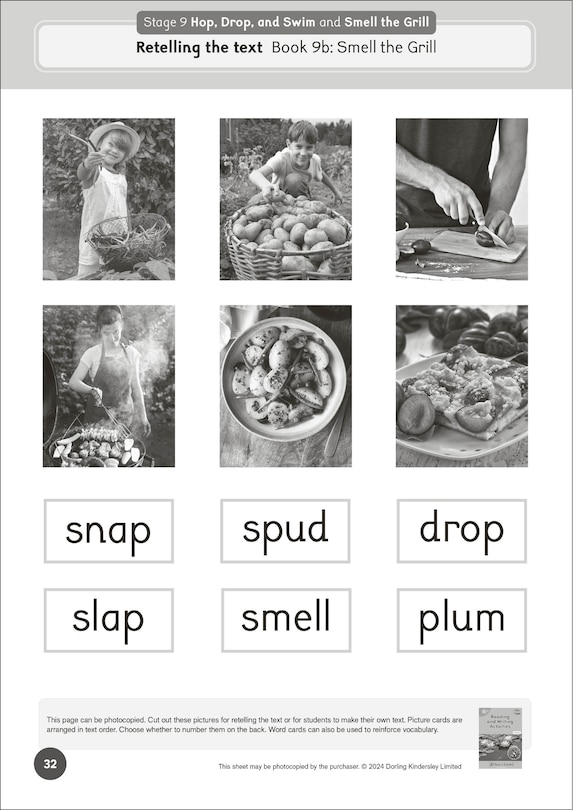 Aper&ccedil;u du contenu 5_Phonic Books Dandelion World Extras Stages 8-15 Activities