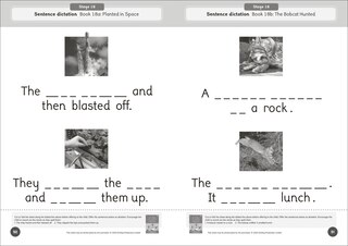 Aperçu du contenu_Phonic Books Dandelion World Reading and Writing Activities for Stages 16-20 ('tch' and 've', Two-Syllable Words, Suffixes -ed and -ing and Spelling <le>)