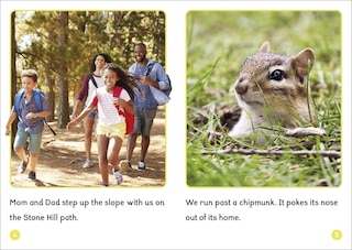 Aper&ccedil;u du contenu 2_Phonic Books Dandelion World VCe Spellings